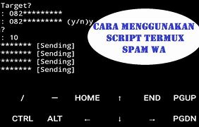 Script Termux Slot Pragmatic Terbaru 2024 Terbaru Apk